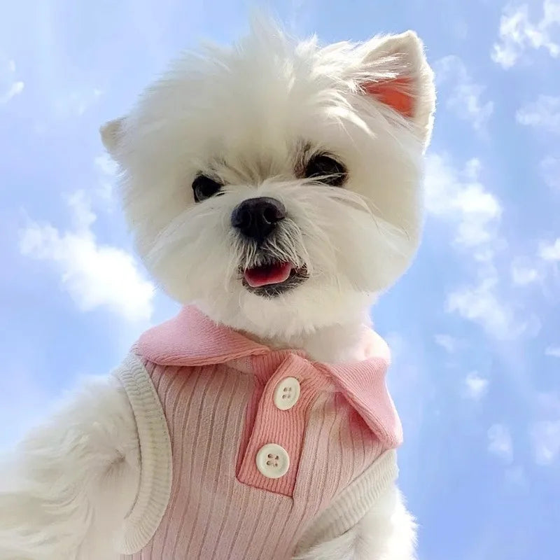 Dog Polo Shirts Cotton Solid Dog Vest Summer Puppy Clothes for Small Dog Pet T Shirt Chihuahua Bichon Dog Hoodies Cat Clothing