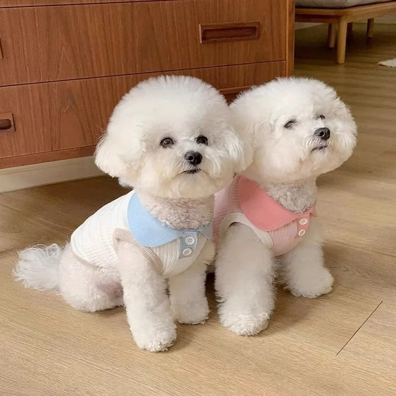 Dog Polo Shirts Cotton Solid Dog Vest Summer Puppy Clothes for Small Dog Pet T Shirt Chihuahua Bichon Dog Hoodies Cat Clothing