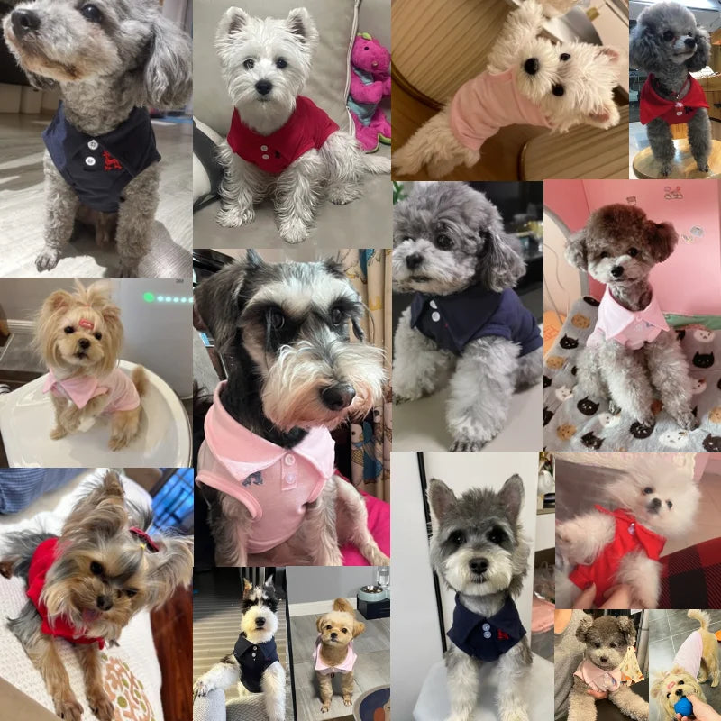 Dog Polo Shirts Cotton Solid Dog Vest Summer Puppy Clothes for Small Dog Pet T Shirt Chihuahua Bichon Dog Hoodies Cat Clothing