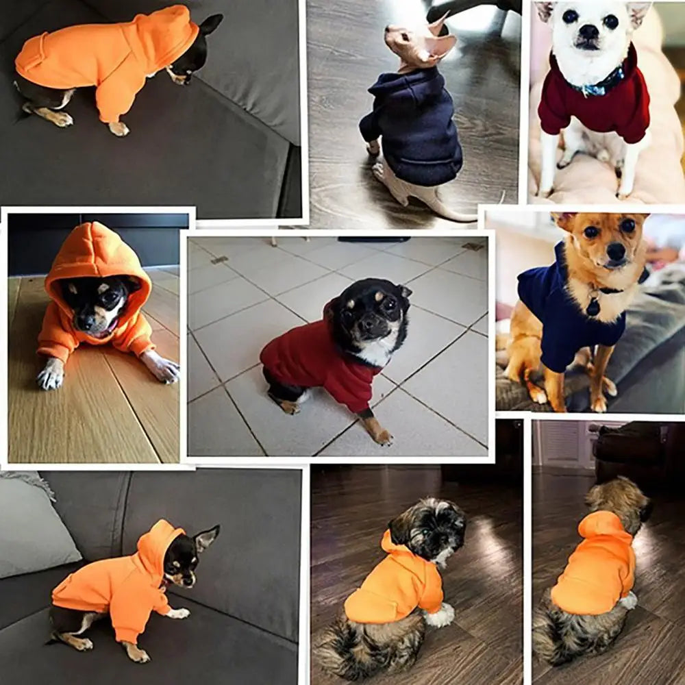 Dog Hoodies Puppy Pet Hooded Sweatshirt Autumn Winter Two-legged Pocket Cat Dog Clothes